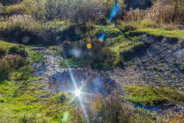 自然风光，森林，喀尔巴阡山，欧洲自然风光照片，东欧图片下载