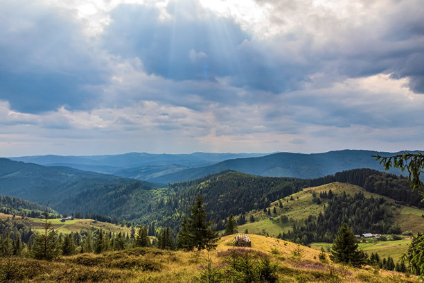 自然风光，森林，喀尔巴阡山，欧洲自然风光照片，东欧图片下载