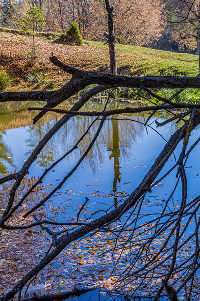 自然风光，森林，喀尔巴阡山，欧洲自然风光照片，东欧图片下载