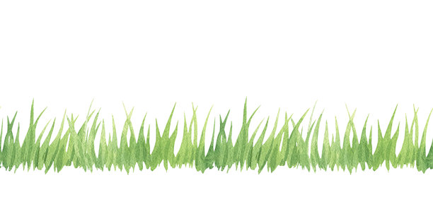 水彩风格的绿色草地边框。手绘的绿色高草、绿植和绿篱插画。设计与装饰。剪贴簿、丝带、胶带或条纹。横幅。图片下载