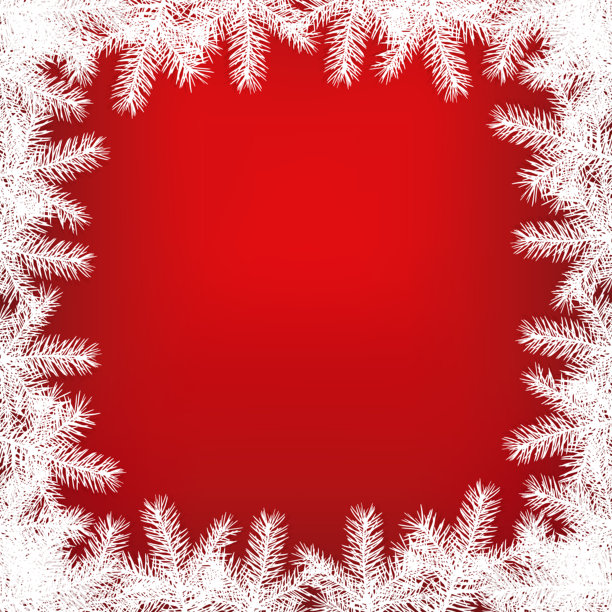 带有白色松枝的红色发光背景的问候方形卡片。留有复制空间。图片下载