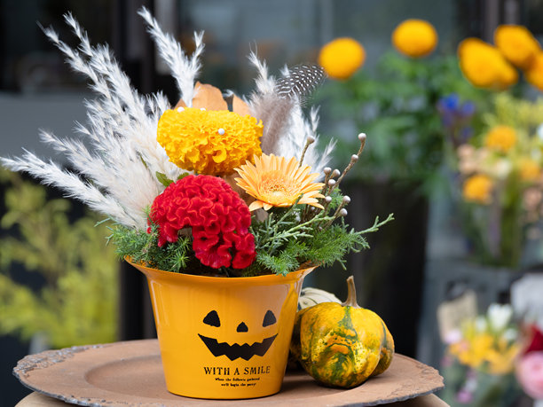 万圣节图片图片下载