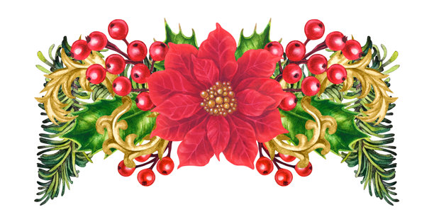 一束奢华的圣诞红花束，配以复古金色小插画和冬青浆果。适用于家居装饰、卡片、标签、贴纸、剪贴簿、贺卡、花艺布置的水彩模板。图片下载