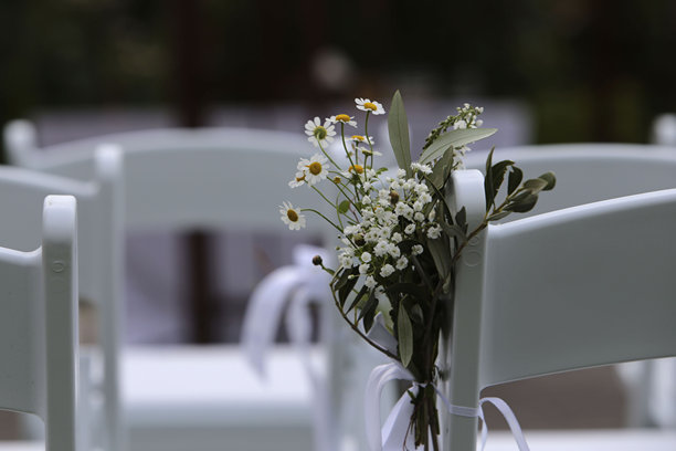 婚礼照片背景图片下载