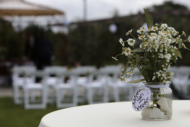 婚礼照片背景图片下载