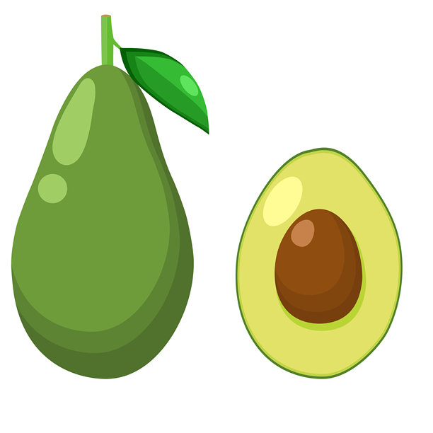 牛油果插画图片下载