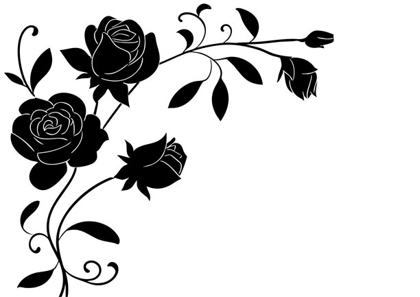 时尚玫瑰花边，手绘图片下载