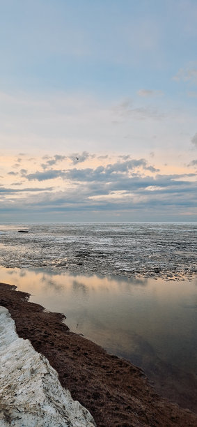 宁静的浮冰在平静的海面上沐浴着夕阳。竖幅照片图片下载