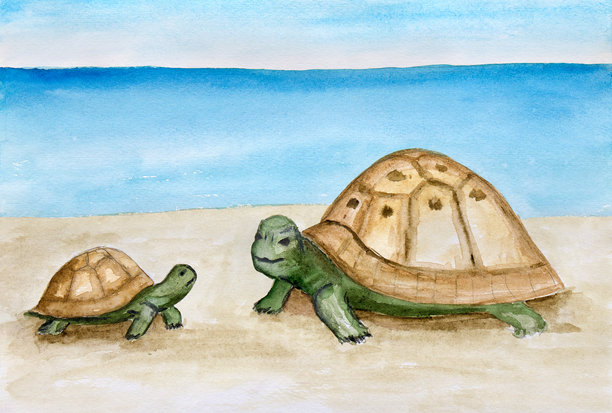 海边的海龟。妈妈和孩子的画。艺术插画水彩画图片下载