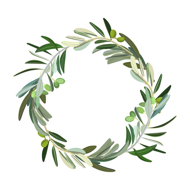 白色背景上的绿色橄榄枝花环。俯视。手绘矢量插画。图片下载
