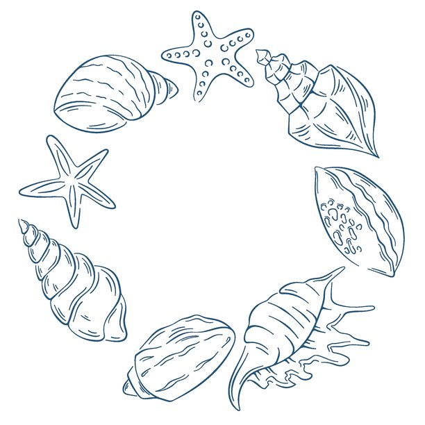 海洋贝壳圆形边框，线条艺术风格。海洋夏日、海滩、航海概念。用于贺卡、横幅、海报的插画。图片下载