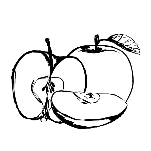 鲜艳的果园苹果切片，用于烹饪或品牌宣传图片下载