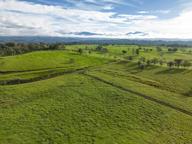 巴拿马山区牛场的鸟瞰图 - 库存照片图片下载