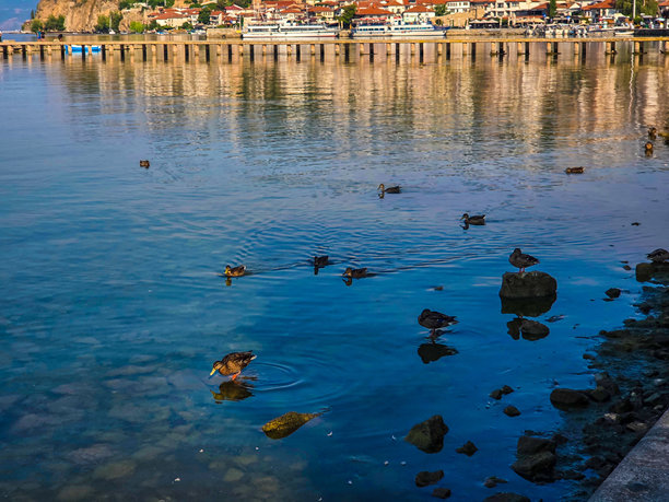 照片中的地方是奥赫里德湖图片下载