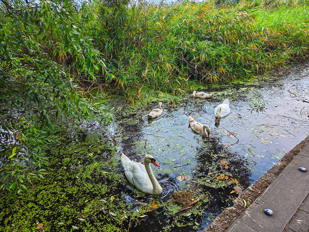 照片中的地方是奥赫里德湖图片下载
