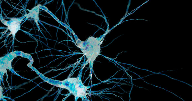 神经组织特写插画，暗示外星生命形式。图片下载