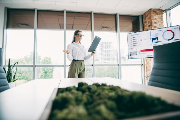 年轻的女商人正在现代办公室工作空间举行专业会议，并在大屏幕上展示数据图片下载