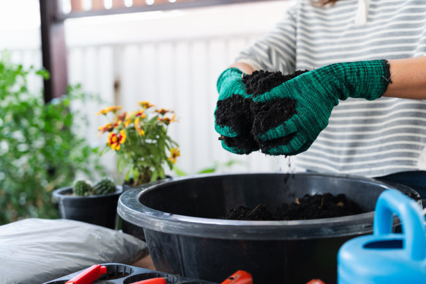一位亚洲女性在家中享受可持续生活方式，在明亮的室内空间里用环保土壤和植物进行园艺，戴着绿色手套精心培育自然。图片下载