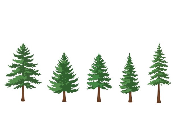 松树剪贴画矢量素材包，包含冬季假日、自然景观、户外场景插画的常绿针叶林元素，设计师可编辑的PNG EPS图形套装图片下载