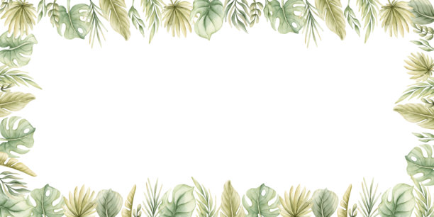 龟背竹棕榈叶枝热带异国情调绿色植物框架。水彩手绘夏季插画图片下载