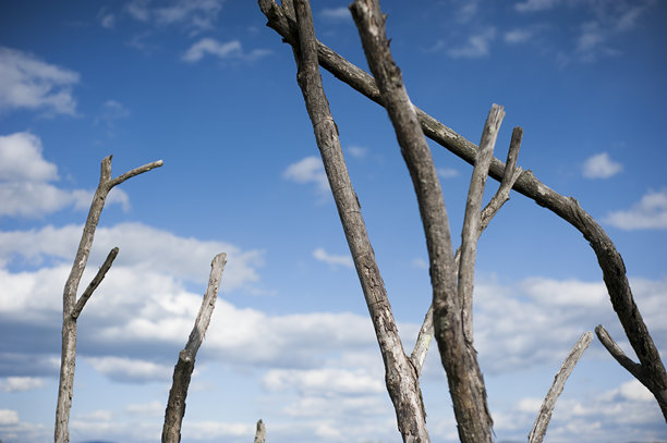 古老的木材与天空的背景照片图片下载