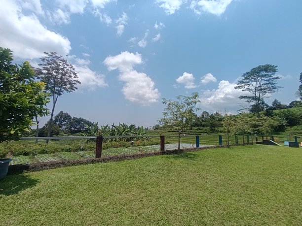 绿草坪广角景观，旁边是耕作的菜地。阳光明媚的蓝天下，有围栏的农场区域种植着热带植物。宁静的乡村景观，融合了休闲空间和农业。图片下载