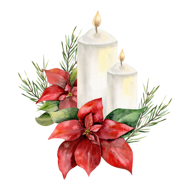圣诞花卉水彩组合，包含红色冬季一品红、白色蜡烛和云杉枝插画。手绘新年节日家居装饰剪贴画，适用于邀请函、卡片、礼品设计。图片下载