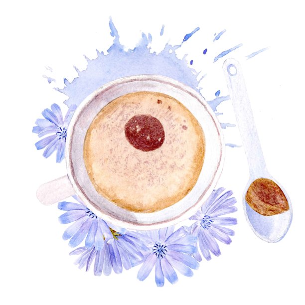 白色杯子里的菊苣饮品，带有根部和粉蓝色花朵的水彩孤立插画。无咖啡因替代品剪贴画，简约风格，适用于健康饮食和素食设计。图片下载