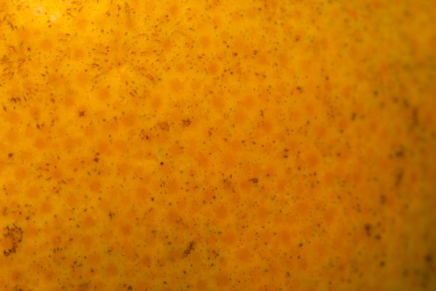 橙皮纹理特写，橙皮，食物的微距照片。高分辨率纹理。图片下载