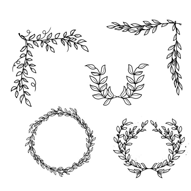 带有叶子的树枝，圆形画框和花角，黑白素描，简约插画。花卉植物花环，一组孤立在白色背景上的剪影。矢量插画。图片下载