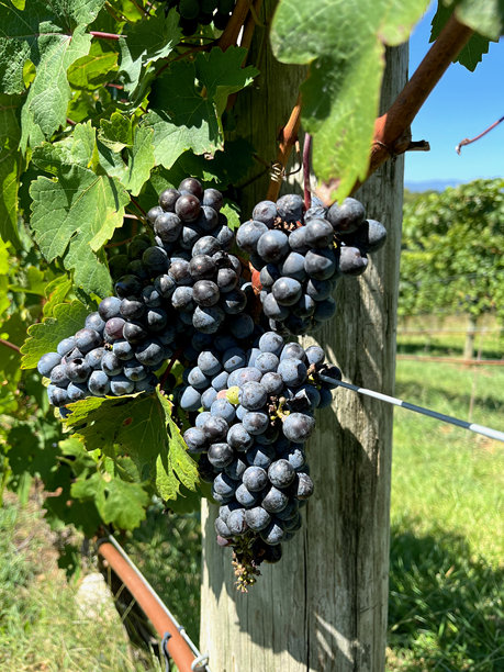 美食图片 1图片下载