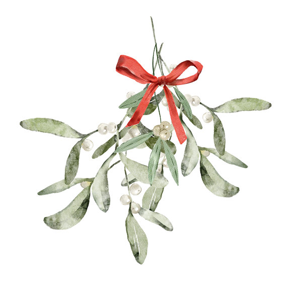 水彩插画，描绘了一束装饰有缎带蝴蝶结的槲寄生花束。温馨的冬季设计。手绘元素，适用于邀请函、社交媒体和海报。图片下载