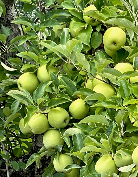 美食图片 1图片下载