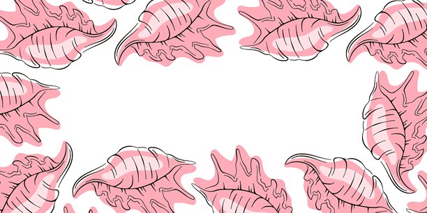 粉色海螺边框，背景为白色，采用扁平化风格，带有复制空间。图片下载