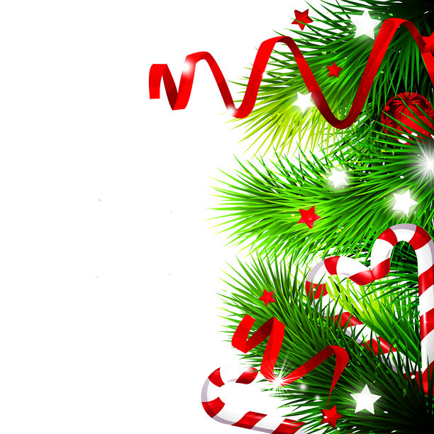 装饰过的圣诞杉树枝，带有纸屑、拐杖糖和彩球，背景为纯白色。时尚矢量冬季海报，留有空白空间。图片下载