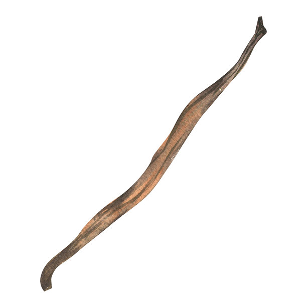 香草干香料水彩插画。手绘孤立的烘焙甜味食材，香草豆荚绘画，用于海报、菜单、产品包装设计的有机食品原料图片下载