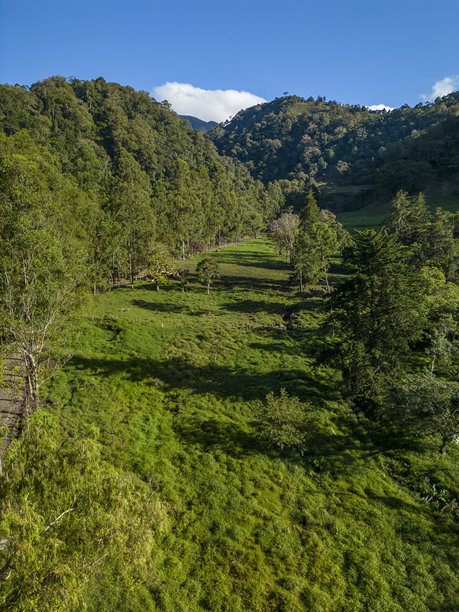 巴拿马中美洲的山区农场 - 库存照片图片下载