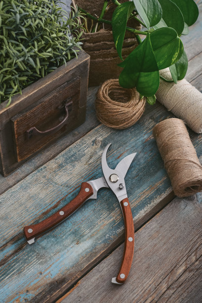 带有木质手柄的时尚复古修枝剪图片下载