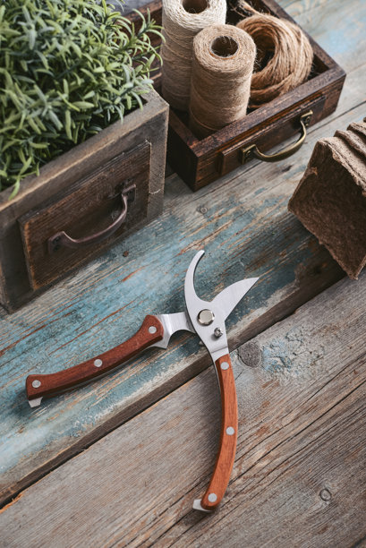 带有木质手柄的时尚复古修枝剪图片下载