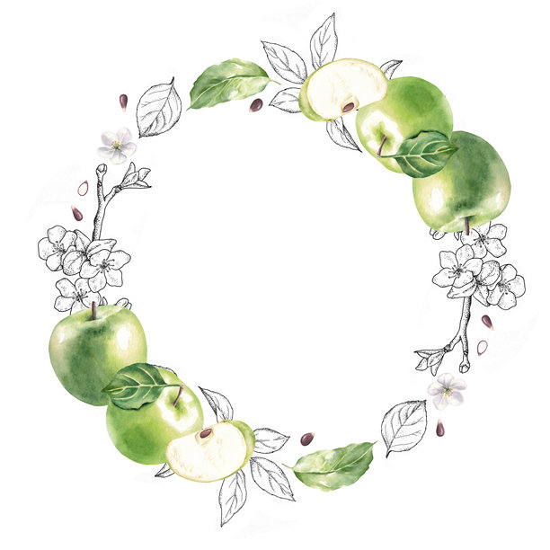 水彩风格的绿色苹果、叶子和轮廓元素的圆形花环。手绘插画，孤立在白色背景上。图片下载