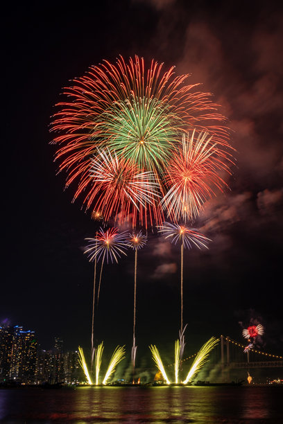 明亮美丽多彩的烟花在夜空中绽放。照片摄于韩国釜山。图片下载