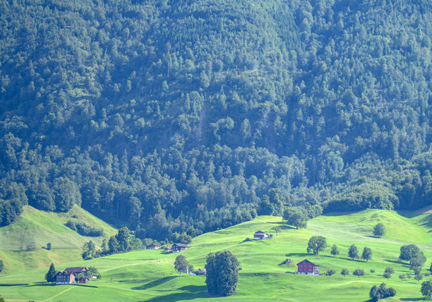 山与树的背景。山地景观。高山草甸与美丽的山峦。森林背景。山景背景。山脉全景。自然背景。图片下载