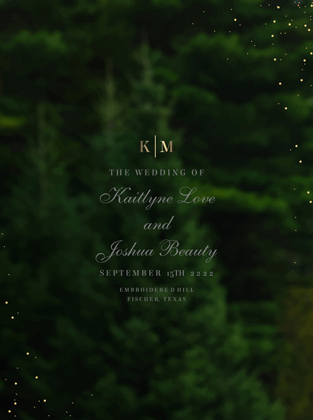 翡翠绿森林植物矢量背景。绿色冷杉树明信片。圣诞景观卡片纹理图片下载