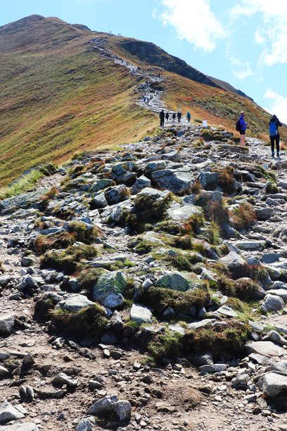 阳光明媚的一天，徒步者正在攀登崎岖的山路图片下载