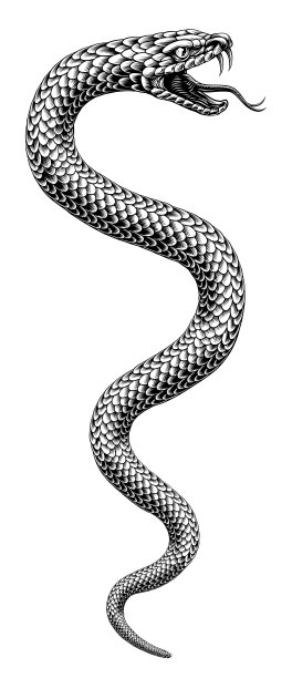 蛇形盘绕的蛇复古风格插画图片下载