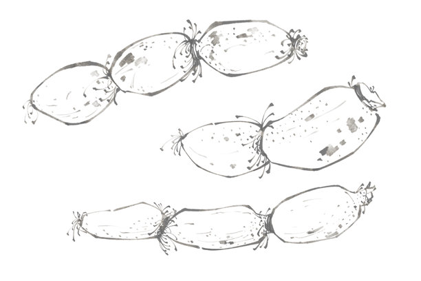 手绘藕片素描插画图片下载