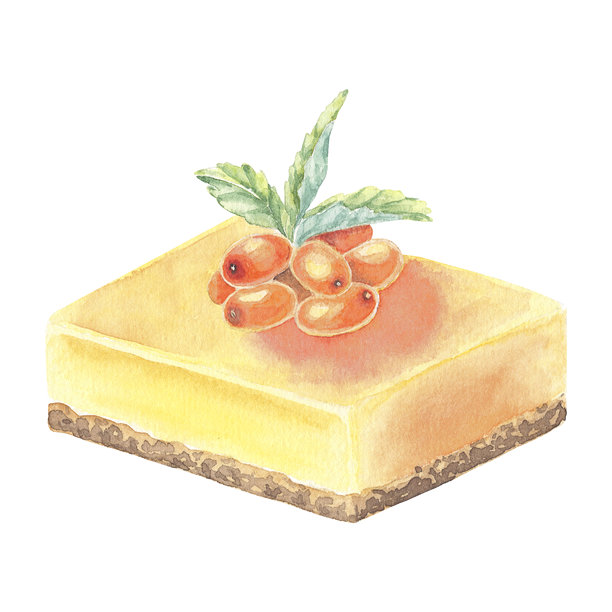 手绘水彩风格的海棠果橙子蛋糕。美味的蛋糕食物插画，适用于菜单设计、图案、海报、包装、餐具。带有浆果和绿色薄荷叶。海绵蛋糕上的水果和浆果果冻图片下载