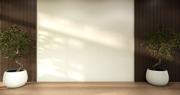 建筑与室内概念 空房间与木板墙背景 3D插画渲染图片下载