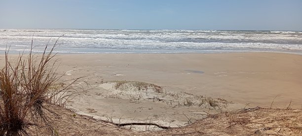 美丽晴日下的海滩照片图片下载