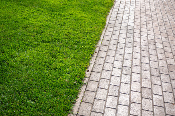 充满活力的绿色草坪与浅灰色铺砌步道之间清晰的边缘。真实照片图片下载